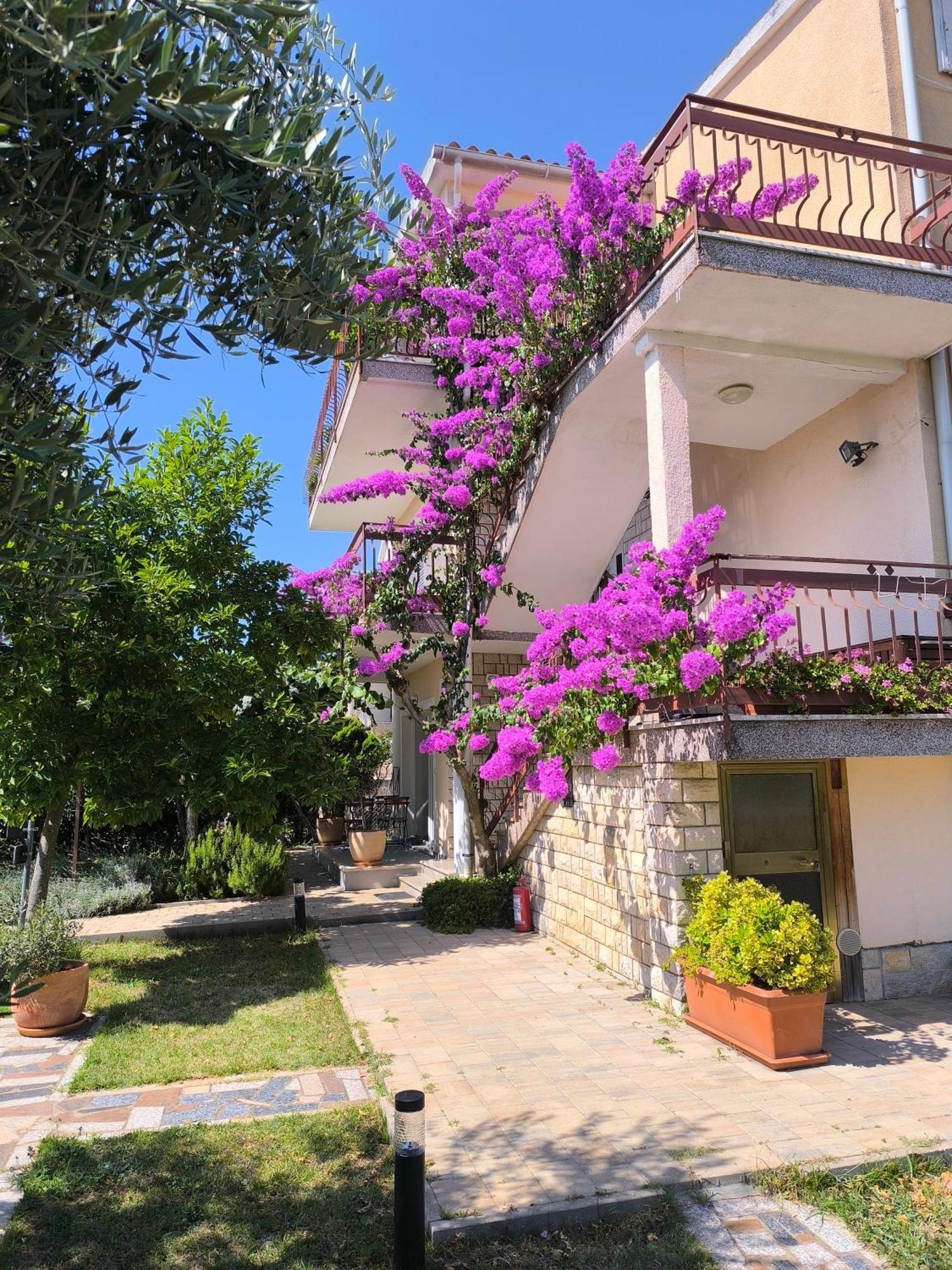 Apartments Lirio Umag Exterior foto